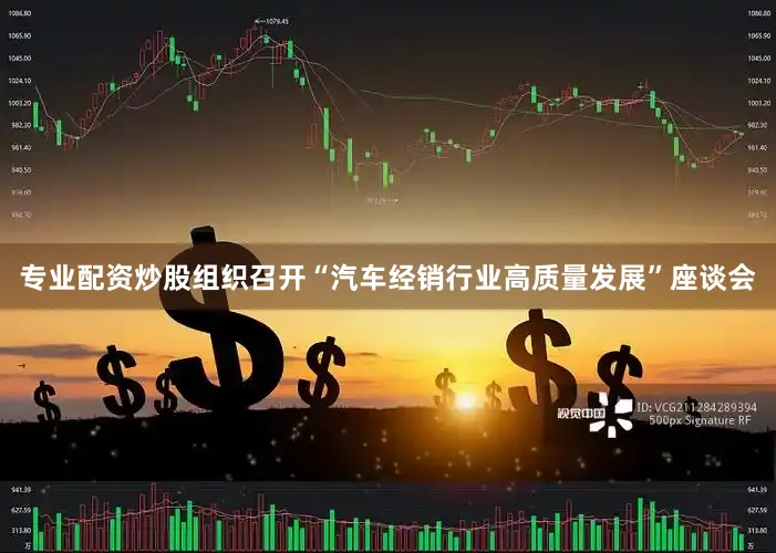 专业配资炒股组织召开“汽车经销行业高质量发展”座谈会