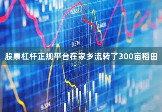 股票杠杆正规平台在家乡流转了300亩稻田