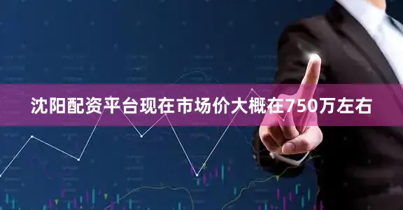 沈阳配资平台现在市场价大概在750万左右