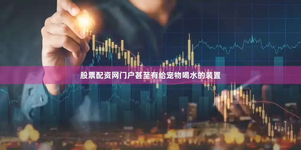 股票配资网门户甚至有给宠物喝水的装置